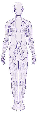 wpeD.jpg (9601 bytes)